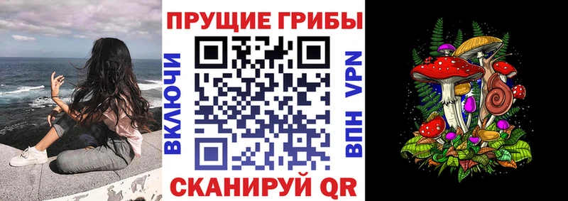 МЕГА маркетплейс Кемерово сайты даркнета наркотические препараты Псилоцибиновые грибы Psilocybine cubensis